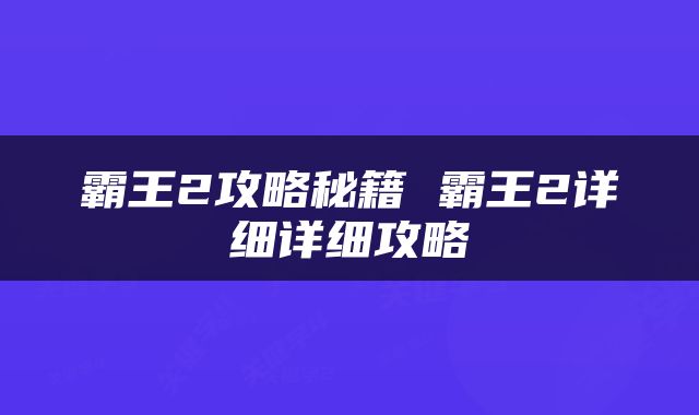 霸王2攻略秘籍 霸王2详细详细攻略