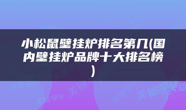 小松鼠壁挂炉排名第几(国内壁挂炉品牌十大排名榜)