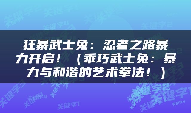 狂暴武士兔：忍者之路暴力开启！（乖巧武士兔：暴力与和谐的艺术拳法！）