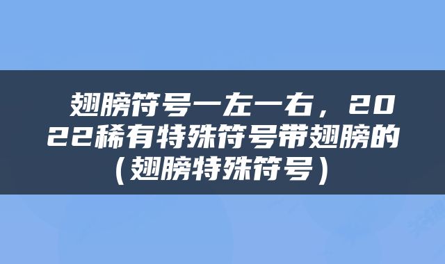  翅膀符号一左一右，2022稀有特殊符号带翅膀的（翅膀特殊符号） 