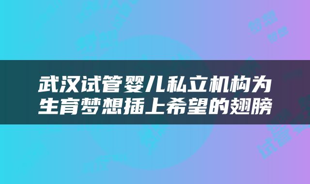 武汉试管婴儿私立机构为生育梦想插上希望的翅膀