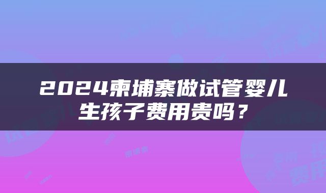 2024柬埔寨做试管婴儿生孩子费用贵吗？
