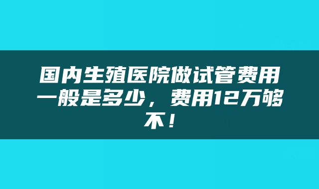 国内生殖医院做试管费用一般是多少，费用12万够不！