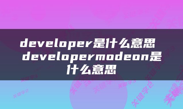 developer是什么意思 developermodeon是什么意思