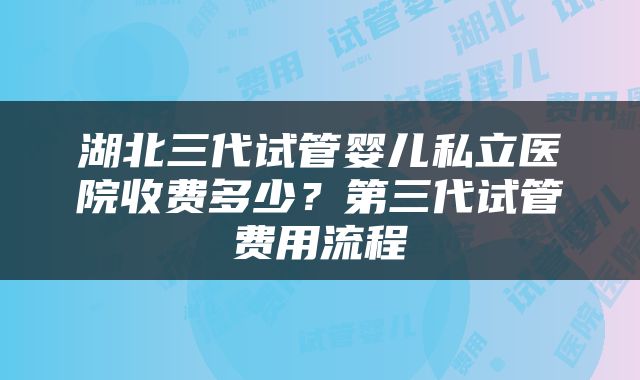 湖北三代试管婴儿私立医院收费多少？第三代试管费用流程