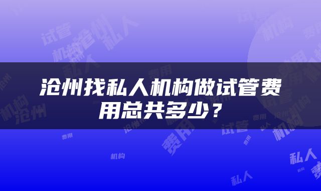 沧州找私人机构做试管费用总共多少？