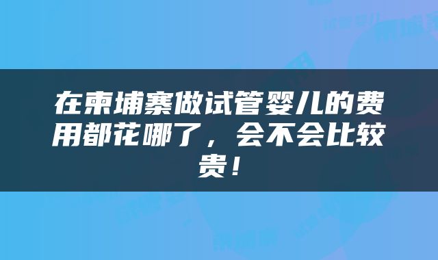 在柬埔寨做试管婴儿的费用都花哪了，会不会比较贵！