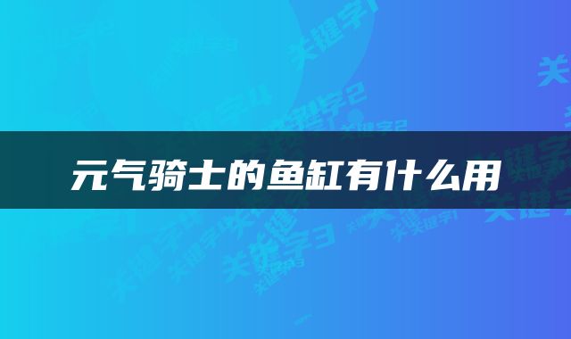 元气骑士的鱼缸有什么用