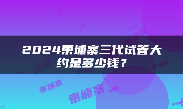 2024柬埔寨三代试管大约是多少钱？