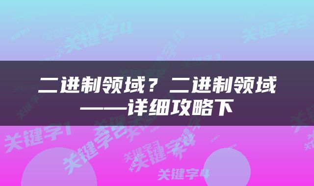 二进制领域？二进制领域——详细攻略下