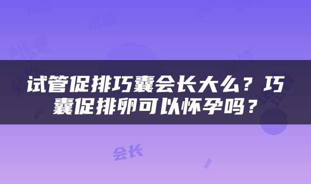 试管促排巧囊会长大么？巧囊促排卵可以怀孕吗？