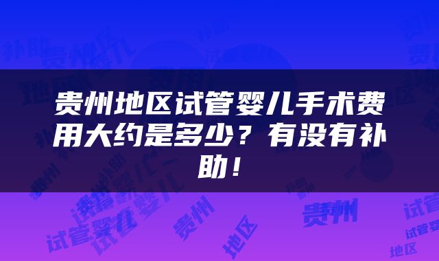 贵州地区试管婴儿手术费用大约是多少？有没有补助！