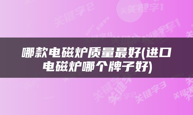 哪款电磁炉质量最好(进口电磁炉哪个牌子好)