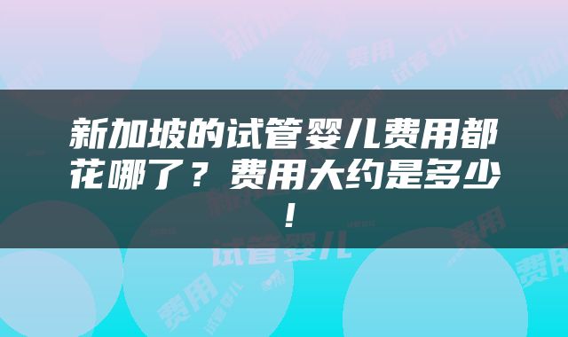 新加坡的试管婴儿费用都花哪了？费用大约是多少！