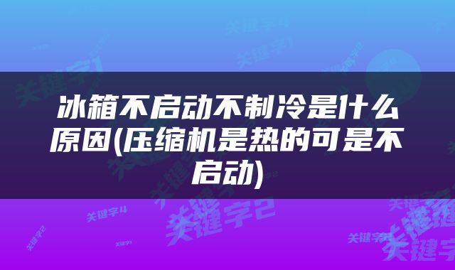 冰箱不启动不制冷是什么原因(压缩机是热的可是不启动)