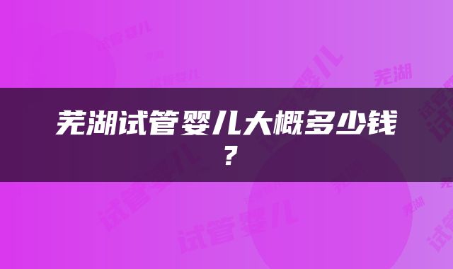 芜湖试管婴儿大概多少钱？