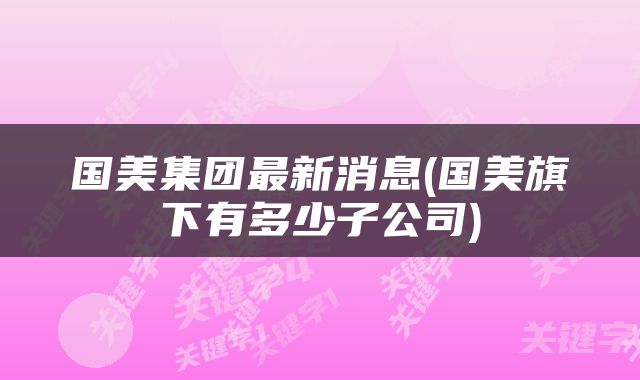国美集团最新消息(国美旗下有多少子公司)