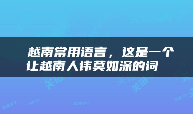  越南常用语言，这是一个让越南人讳莫如深的词 