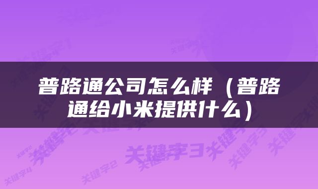 普路通公司怎么样（普路通给小米提供什么）