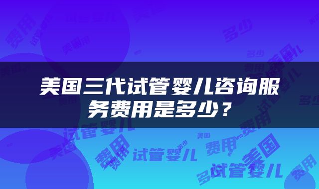 美国三代试管婴儿咨询服务费用是多少？