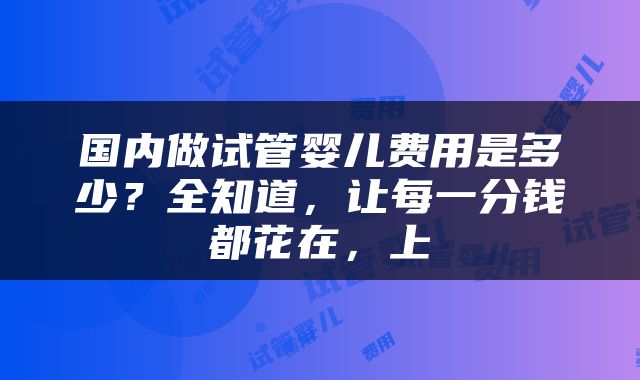 国内做试管婴儿费用是多少？全知道，让每一分钱都花在，上