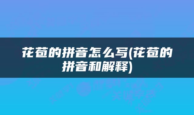 花苞的拼音怎么写(花苞的拼音和解释)