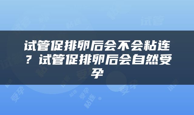试管促排卵后会不会粘连？试管促排卵后会自然受孕