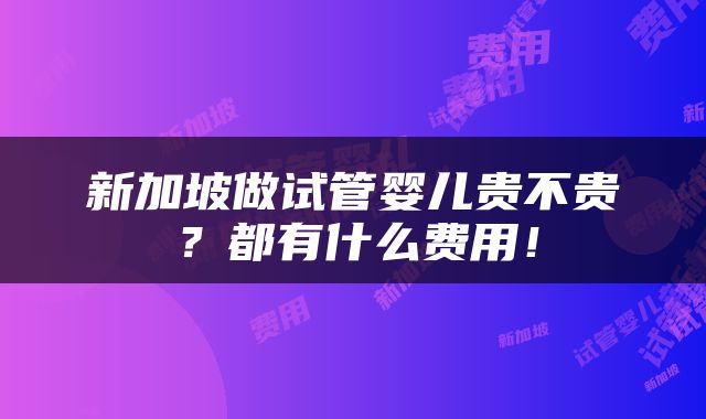 新加坡做试管婴儿贵不贵？都有什么费用！