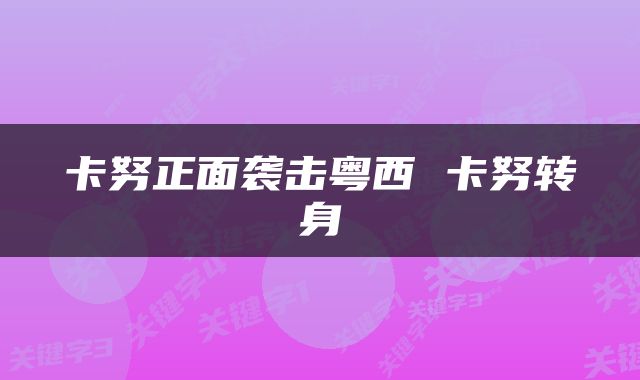 卡努正面袭击粤西 卡努转身