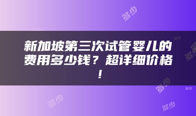 新加坡第三次试管婴儿的费用多少钱？超详细价格！