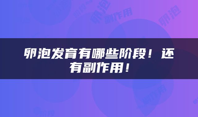 卵泡发育有哪些阶段！还有副作用！