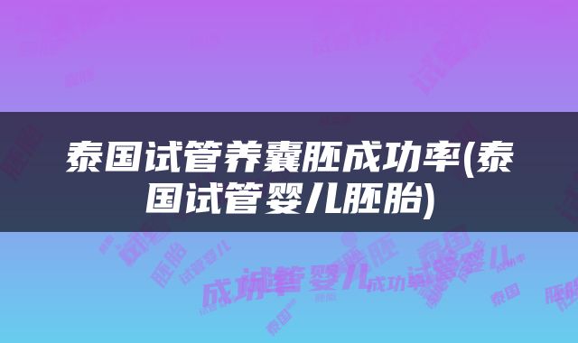 泰国试管养囊胚成功率(泰国试管婴儿胚胎)