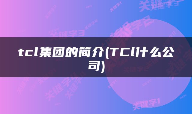 tcl集团的简介(TCl什么公司)