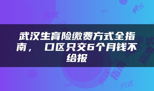 武汉生育险缴费方式全指南，硚口区只交6个月钱不给报