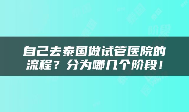 自己去泰国做试管医院的流程？分为哪几个阶段！