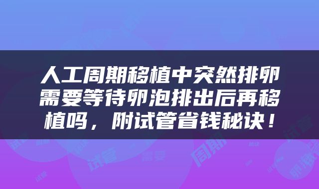 人工周期移植中突然排卵需要等待卵泡排出后再移植吗，附试管省钱秘诀！