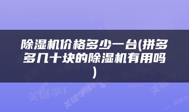 除湿机价格多少一台(拼多多几十块的除湿机有用吗)