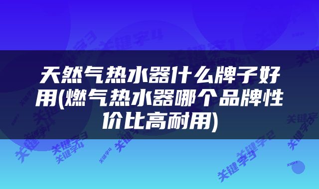 天然气热水器什么牌子好用(燃气热水器哪个品牌性价比高耐用)