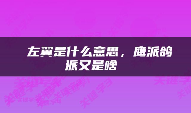  左翼是什么意思，鹰派鸽派又是啥 