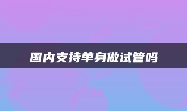 国内支持单身做试管吗