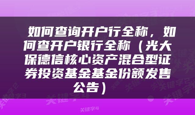  如何查询开户行全称，如何查开户银行全称（光大保德信核心资产混合型证券投资基金基金份额发售公告） 