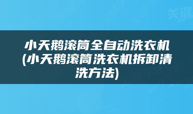 小天鹅滚筒全自动洗衣机(小天鹅滚筒洗衣机拆卸清洗方法)