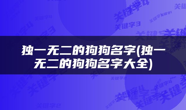 独一无二的狗狗名字(独一无二的狗狗名字大全)