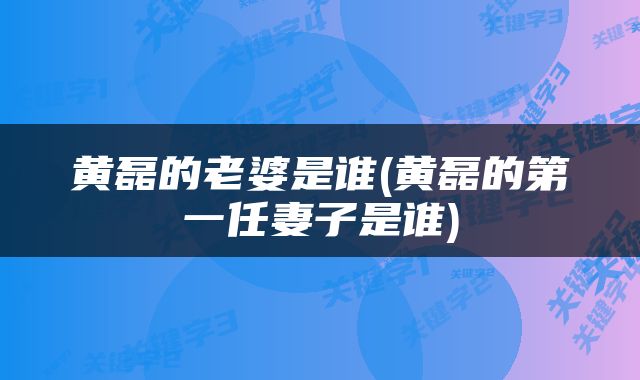 黄磊的老婆是谁(黄磊的第一任妻子是谁)
