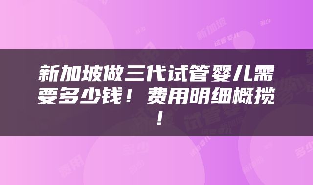 新加坡做三代试管婴儿需要多少钱！费用明细概揽！