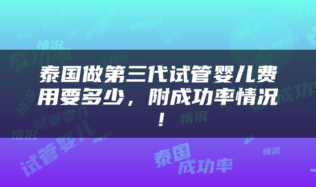 泰国做第三代试管婴儿费用要多少，附成功率情况！