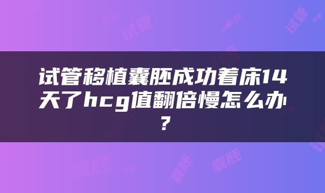 试管移植囊胚成功着床14天了hcg值翻倍慢怎么办？
