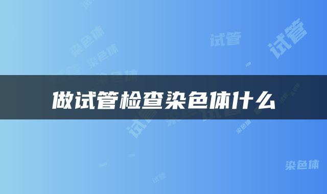 做试管检查染色体什么