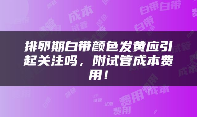 排卵期白带颜色发黄应引起关注吗，附试管成本费用！