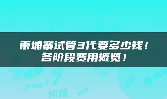 柬埔寨试管3代要多少钱！各阶段费用概览！